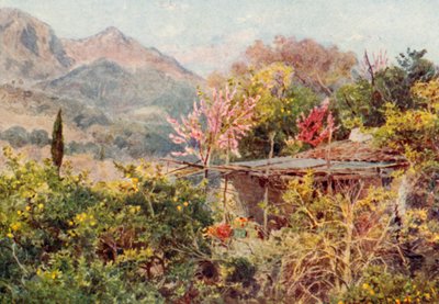  door George Samuel Elgood