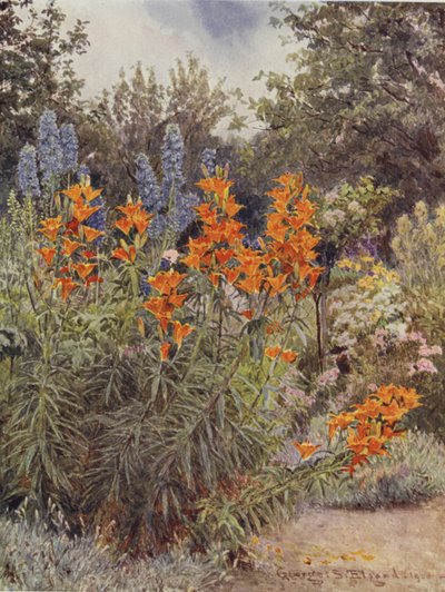 Oranje Lelies en Ridderspoor door George Samuel Elgood