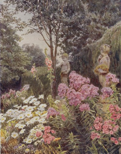 Phlox en Madelief door George Samuel Elgood
