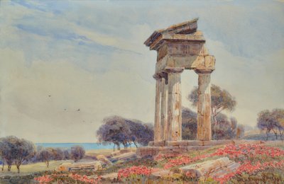Tempel van Castor en Pollux, Gorgenti door George Samuel Elgood
