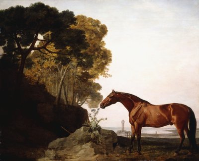 Een Arabisch paard in een kustlandschap, 1779 door George Stubbs
