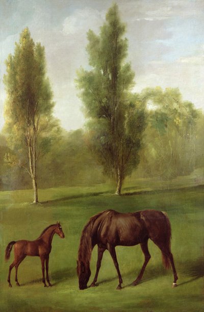 Een Kastanjebruine Merrie en Veulen in een Bosrijk Landschap, ca. 1761-63 door George Stubbs