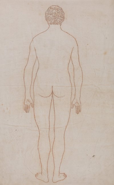 Een vergelijkende anatomische uiteenzetting van de structuur van het menselijk lichaam met dat van een tijger en een hoender: Menselijk Lichaam, Achteraanzicht (Overzichtstekening voor Tabel VII) door George Stubbs