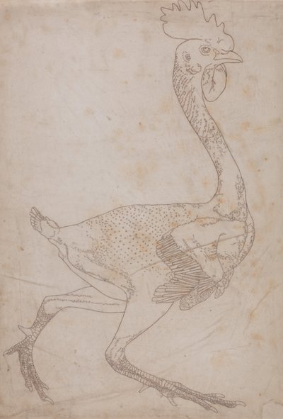 Een vergelijkende anatomische uiteenzetting van de structuur van het menselijk lichaam met dat van een tijger en een hoender: Lichaam van een hoender, zijaanzicht (waarschijnlijk voorbereid voor overbrenging naar de plaat voor het graveren van de sleutelfi door George Stubbs