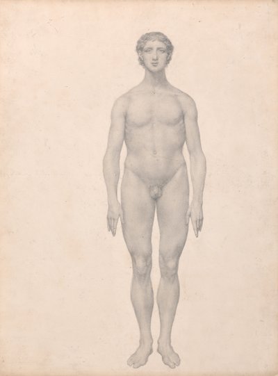 Een vergelijkende anatomische uiteenzetting van de structuur van het menselijk lichaam met dat van een tijger en een hoender:  Menselijke figuur, vooraanzicht, niet ontleed (voltooide studie voor tabel VI) door George Stubbs