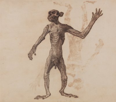 Een vergelijkende anatomische uiteenzetting van de structuur van het menselijk lichaam met dat van een tijger en een hoender:  Staande aap, vooraanzicht door George Stubbs