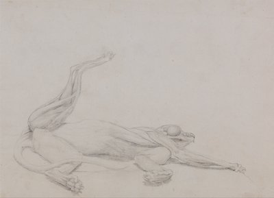 Een vergelijkende anatomische uiteenzetting van de structuur van het menselijk lichaam met dat van een tijger en een hoender:  Tijgerlichaam, liggend, centraal bekeken door George Stubbs