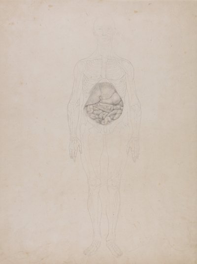 Een vergelijkende anatomische uiteenzetting van de structuur van het menselijk lichaam met dat van een tijger en een hoender: Menselijk Figuur, Vooraanzicht (Schetsmatige tekening) door George Stubbs