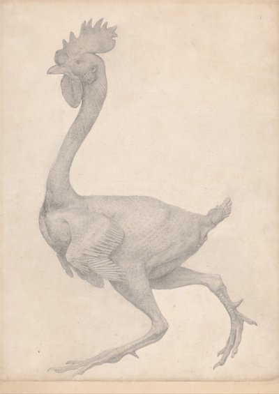 Een vergelijkende anatomische uiteenzetting van de structuur van het menselijk lichaam met dat van een tijger en een gewoon hoen: Gevogelte, zijaanzicht met de meeste veren verwijderd (voltooide studie voor tabel X) door George Stubbs