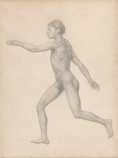 Een vergelijkende anatomische uiteenzetting van de structuur van het menselijk lichaam met dat van een tijger en een hoender: Menselijke figuur, zijaanzicht, niet ontleed (voltooide studie voor tabel VIII) door George Stubbs