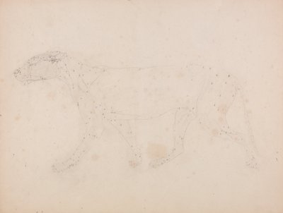 Een vergelijkende anatomische uiteenzetting van de structuur van het menselijk lichaam met dat van een tijger en een hoender: Tijgerlichaam, zijaanzicht (spierstudie voor de sleutelfiguur bij tabel IX) door George Stubbs