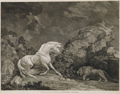 Een paard geschrokken door een leeuw, gegraveerd door de kunstenaar door George Stubbs