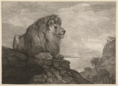 Een Leeuw (Een Leeuw Rustend op een Rots) gegraveerd door de kunstenaar door George Stubbs