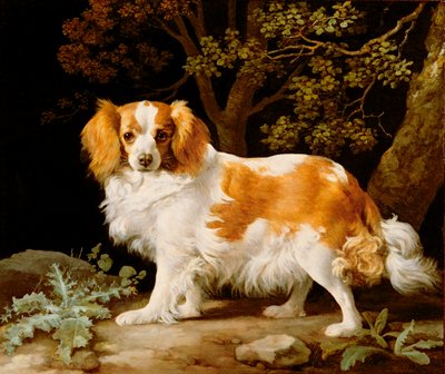 Een Lever- en Witte King Charles Spaniel in een Boslandschap door George Stubbs
