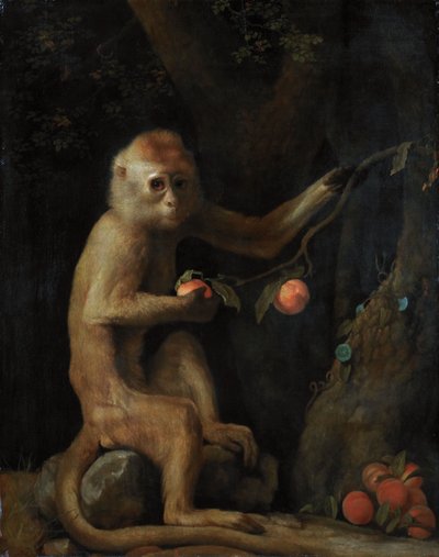 Een aap door George Stubbs