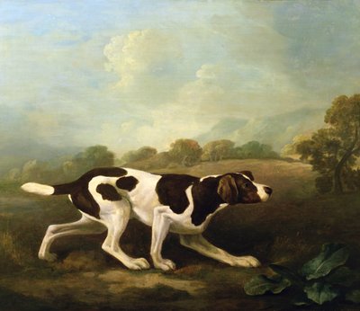Een Pointer door George Stubbs