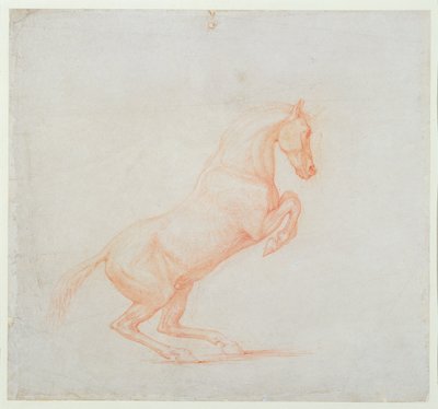 Een steigerend paard, naar rechts gericht, 1790 door George Stubbs