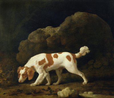 Een spaniël door George Stubbs