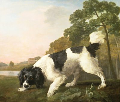 Een spaniël in een landschap, 1771 door George Stubbs