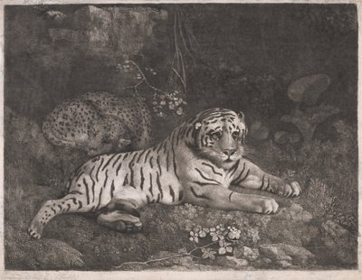 Een Tijger en een Slapende Luipaard door George Stubbs