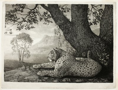 Een tijger (Een liggende luipaard bij een boom) door George Stubbs