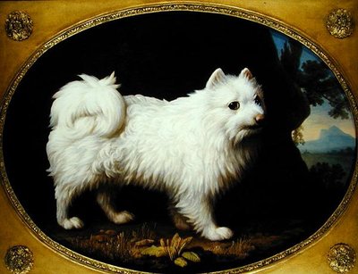 Een Witte Spitz, c.1770 door George Stubbs