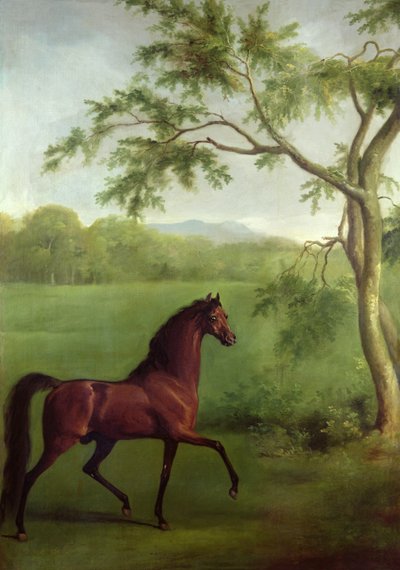 Een Arabische Hengst onder een Boom, c.1761-63 door George Stubbs