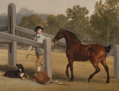 Detail van William Henry Cavendish-Bentinck, 3e Hertog van Portland en zijn jongere broer Lord Edward, 1767-68 (detail) door George Stubbs