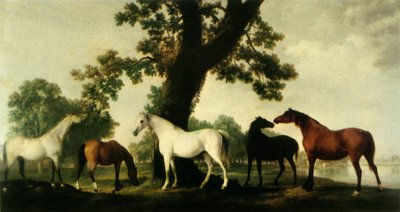 Vijf Fokmerries op de Stoeterij van de Hertog van Cumberland in Windsor Great Park door George Stubbs