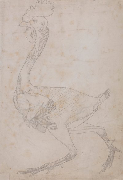 Vogellichaam, zijaanzicht door George Stubbs