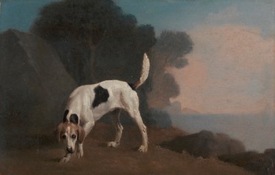 Foxhound door George Stubbs