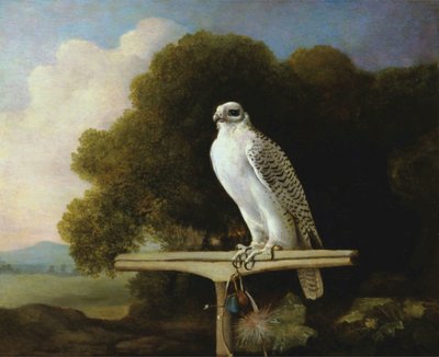 Groenlandse valk door George Stubbs
