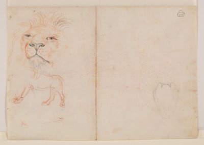 Hoofd van een leeuw, verso, 18e of 19e eeuw door George Stubbs