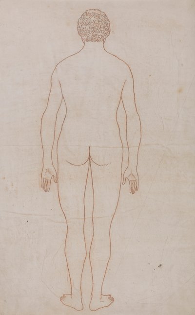 Menselijk lichaam, achteraanzicht (Omlijningstekening voor Tabel VII) door George Stubbs