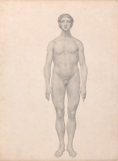 Menselijke figuur, vooraanzicht, ongesneden (Voltooide studie voor Tafel VI) door George Stubbs