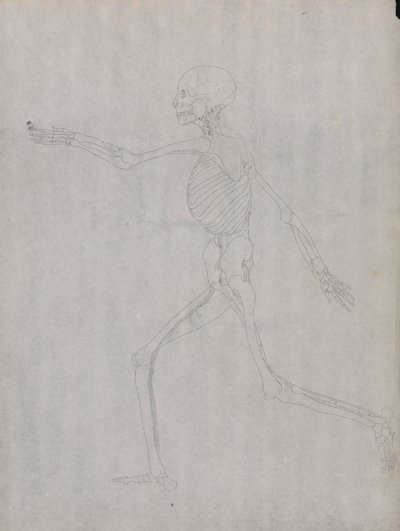 Menselijke figuur, zijaanzicht door George Stubbs