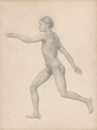 Menselijke Figuur, Lateraal Aanzicht, Ongedissecteerd (Afgewerkte Studie voor Tafel VIII) door George Stubbs