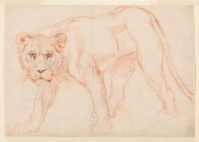 Leeuwin die sluipt, recto, 18e of 19e eeuw door George Stubbs