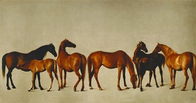 Merries en Veulens (olieverf op doek) door George Stubbs