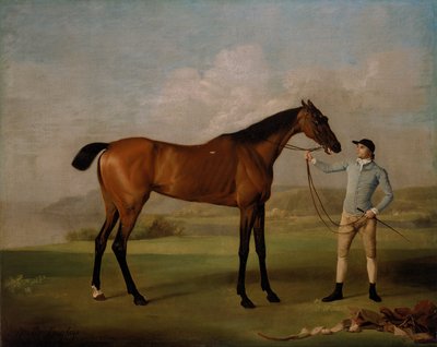 Molly Langbenen met haar Jockey door George Stubbs
