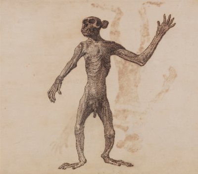 Staande aap, vooraanzicht door George Stubbs