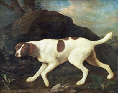 Phillis, een wijzer van Lord Clermont door George Stubbs