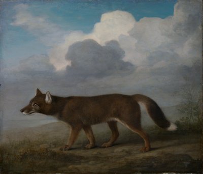 Portret van een grote hond (Dingo) door George Stubbs