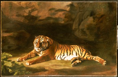 Portret van de Koninklijke Tijger, ca. 1770 door George Stubbs