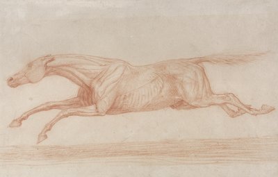 Studie van een renpaard in actie: galopperend naar links door George Stubbs