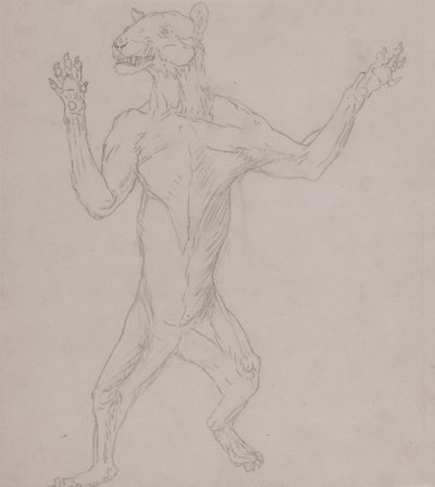 Studie van een tijger, staand in menselijke houding, uit Een vergelijkende anatomische expositie van de structuur van het menselijk lichaam met die van een tijger en een gewone vogel, 1795-1806 door George Stubbs