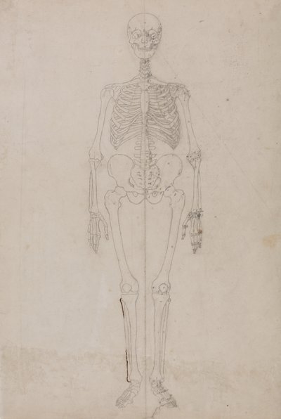 Studie van het menselijk lichaam, vooraanzicht, uit Een Vergelijkende Anatomische Expositie van de Structuur van het Menselijk Lichaam met die van een Tijger en een Gewone Vogel, c.1795-1806 door George Stubbs