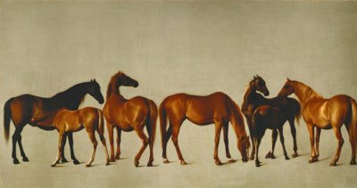 Merries met veulens door George Stubbs