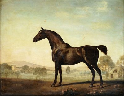 Sweetwilliam, een Bruin Renpaard, in een Weide, 1779 door George Stubbs
