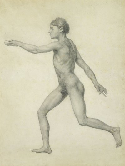 De Volledige Menselijke Figuur van Links, zijaanzicht, uit de serie 